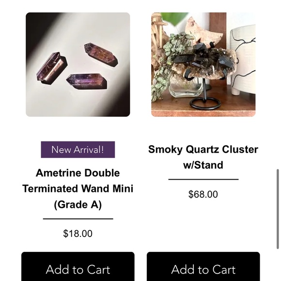 Meet your Posher, Priscilla - Picture 7 of 7